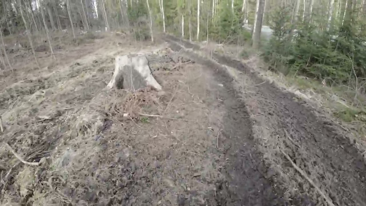 Cycling to the shop. Multisilta/Peltolammi region.