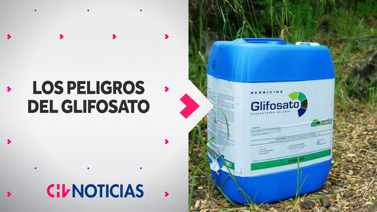 GLIFOSATO: ¿Qué es y por qué aseguran que es peligroso? | VIVIR MEJOR - Reportaje CHV Noticias