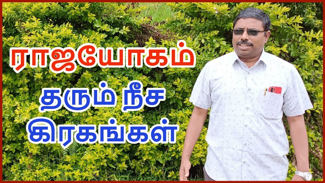 ராஜயோகம் தரும் நீச கிரகங்கள் | DINDIGUL P.CHINNARAJ ASTROLOGER INDIA