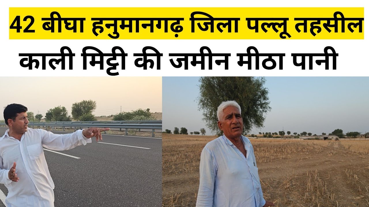 हनुमानगढ़ जिला पल्लू तहसील की 42 बीघा जमीन बिकाऊ काली मिट्टी मीठा पानी भारतमाला का फ्रंट  | #land