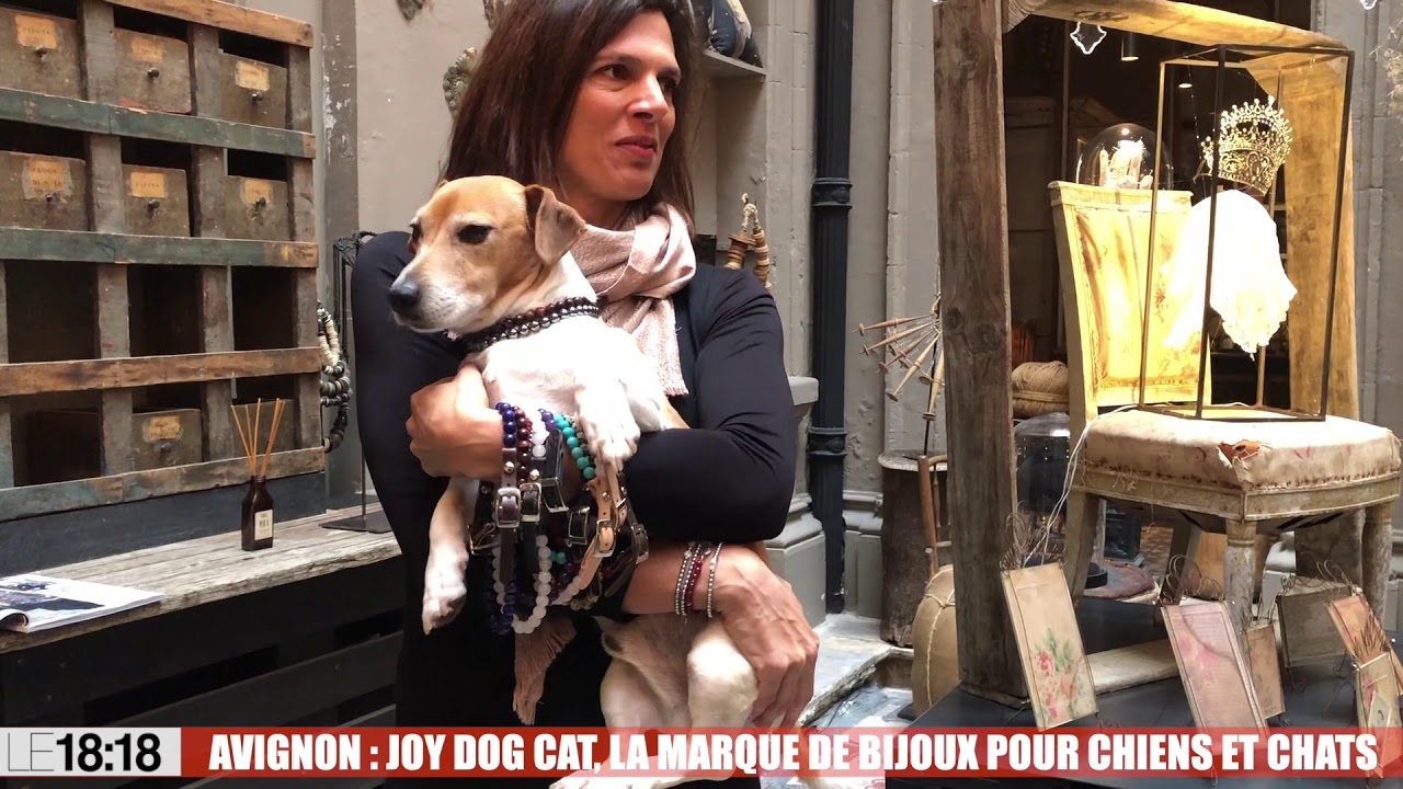 Avignon : un collier de perles pour votre chien !