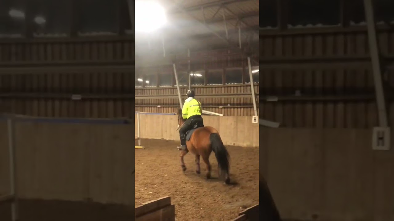 Some jumps with felina 