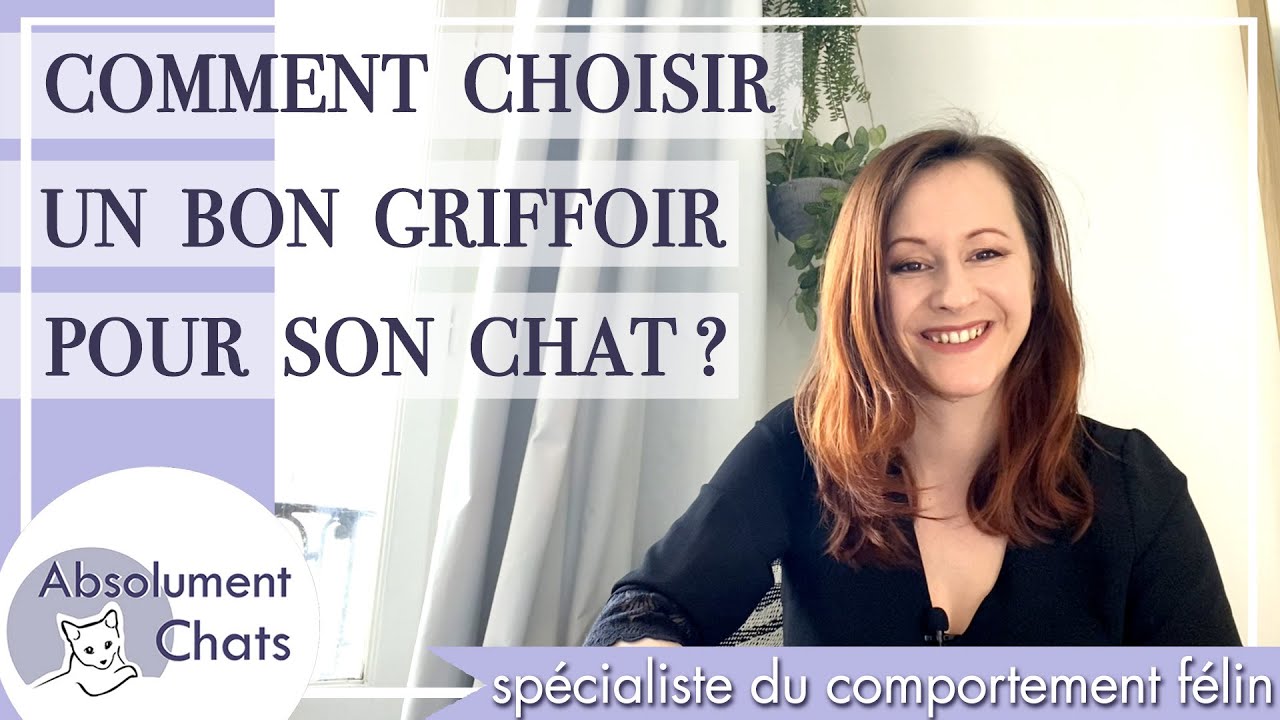 comment choisir un bon griffoir pour son chat