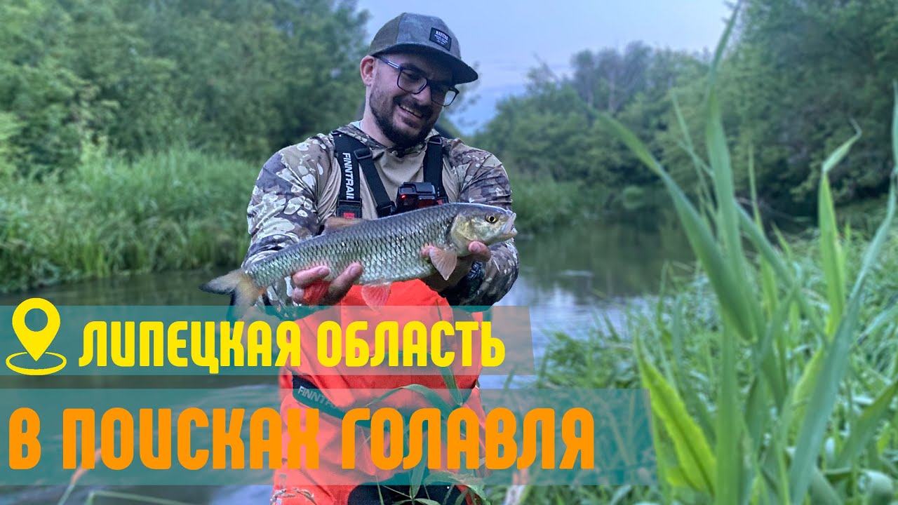 В поисках голавля по рекам Липецкой области. Дон, Красивая Меча, Воронеж, Быстрая Сосна.