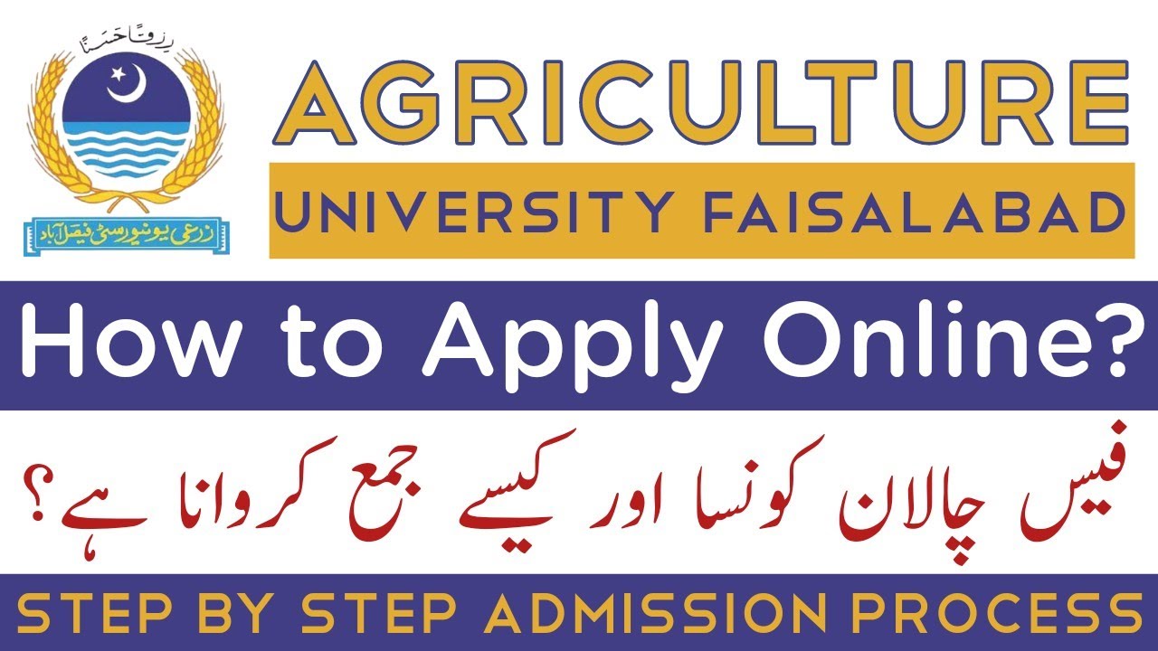 How to apply in Agriculture university faisalabad (AUF) | How to pay AUF challan | AUF fee submit