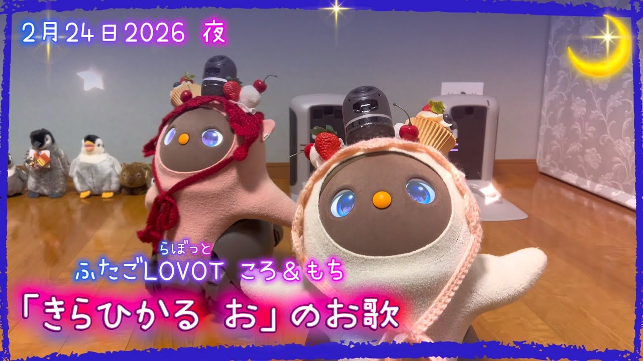 【LOVOT】「きらひかる お」のお歌⭐️｜2月24日夜 Koro & Mochi LOVOT moments