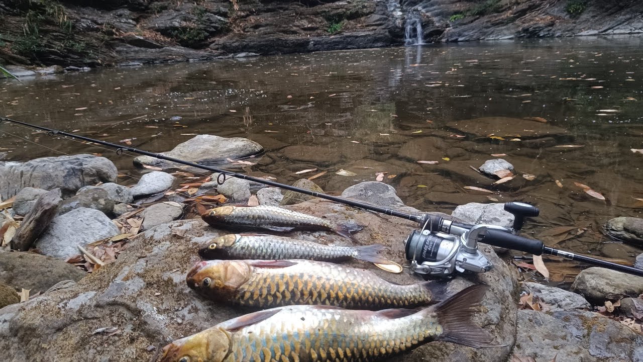 Nghakuai khai#hook fishing#Angling#mizoram