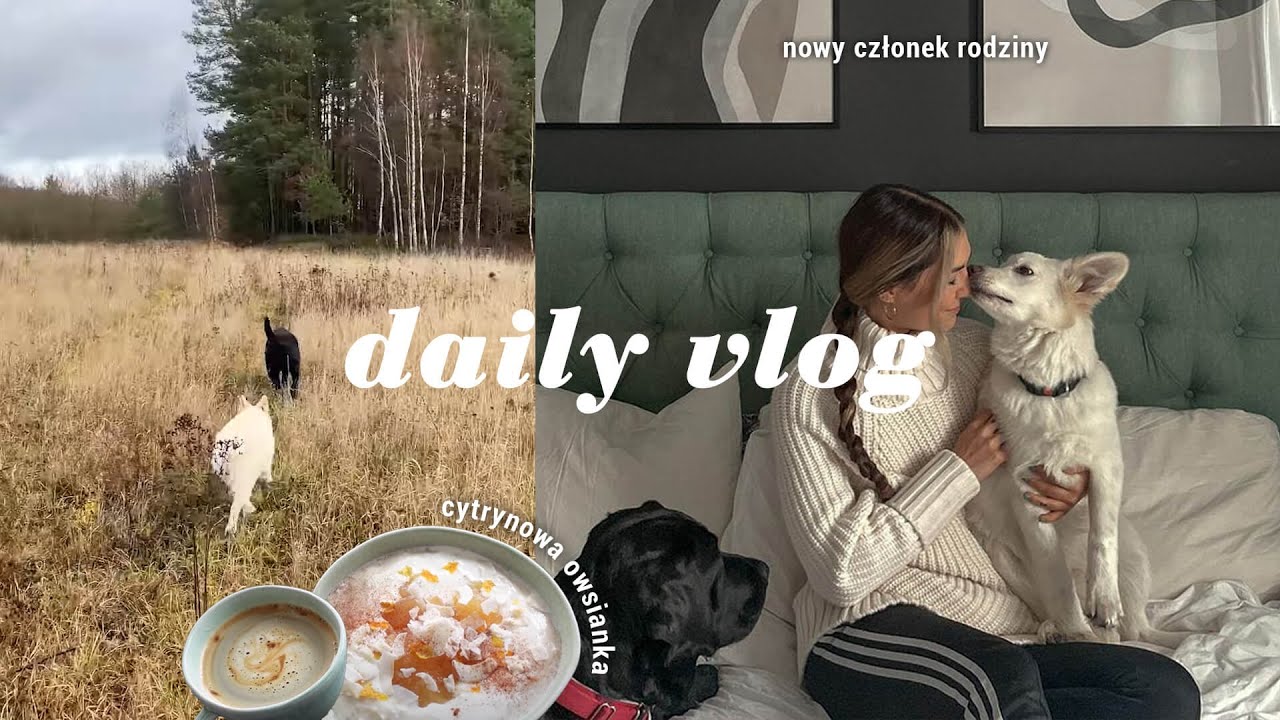 Daily Vlog 🌸 // mamy drugiego psa 🐶 / makijaż brwi / pyyyszna cytrynowa owsianka 🍋 //