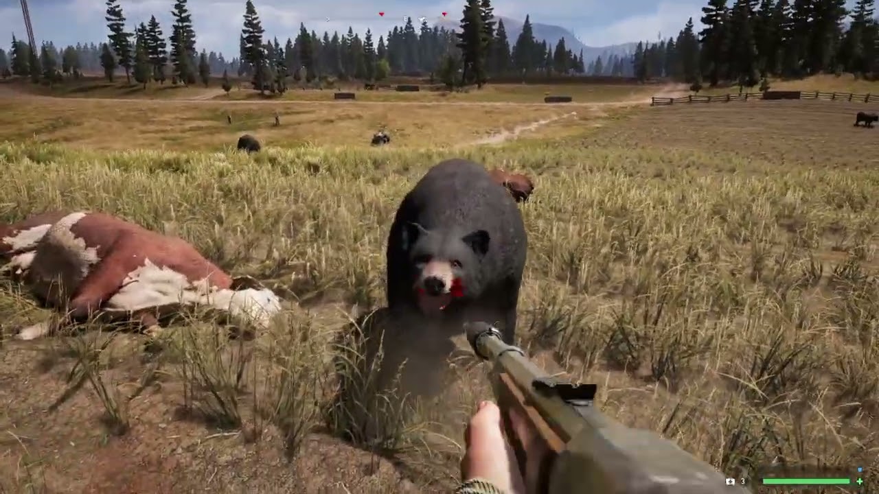 Far Cry® 5