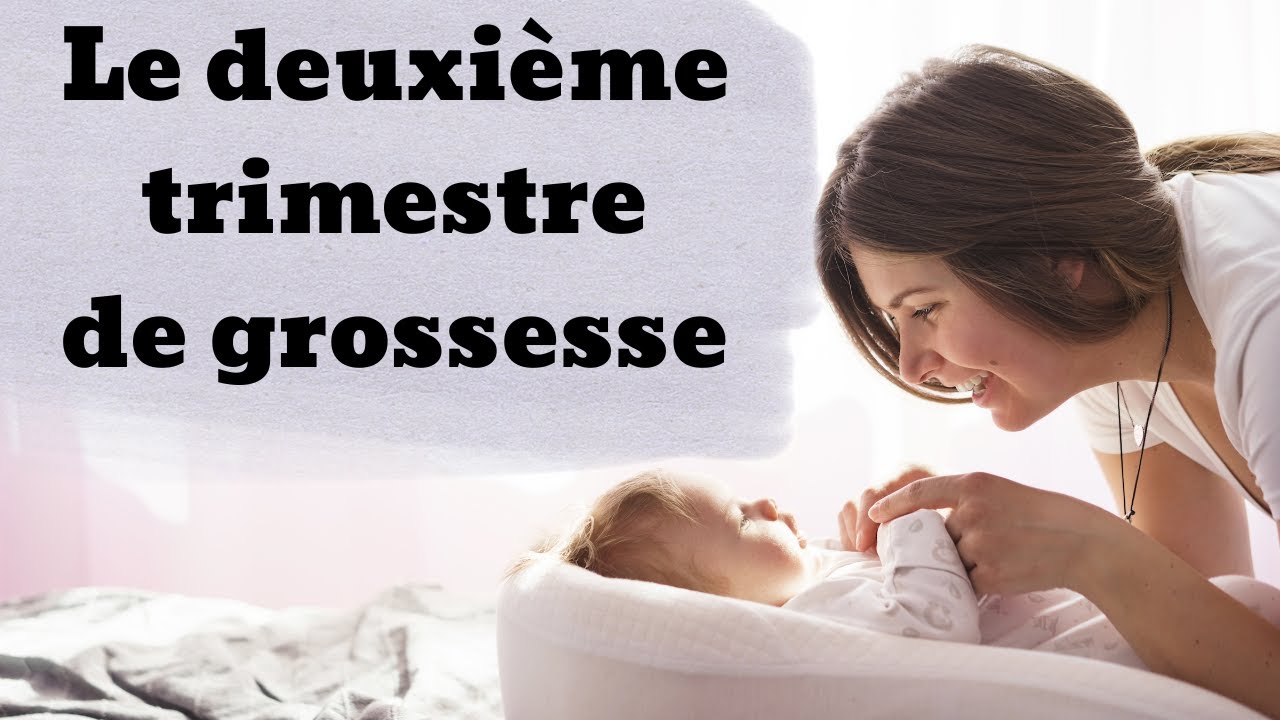 DEUXIÈME TRIMESTRE DE GROSESSE [Développement, symptômes, démarches]
