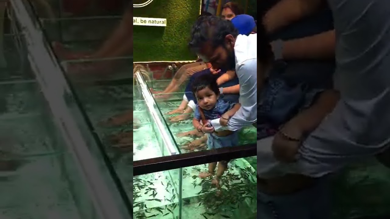 NR fish spa