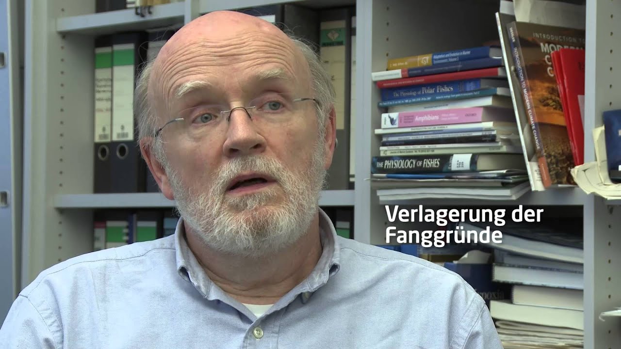 Klimawandel im Ozean: Folgen für den Menschen