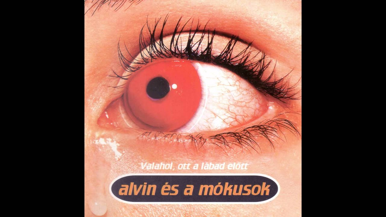 Alvin &eacute;s a M&oacute;kusok - Kisebbs&eacute;gi komplexus