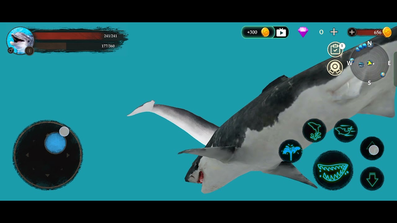 Dolphin 🐬 #dolphins #dolphinemulatorgamecube #englishbolnahogaaasan #subscribe