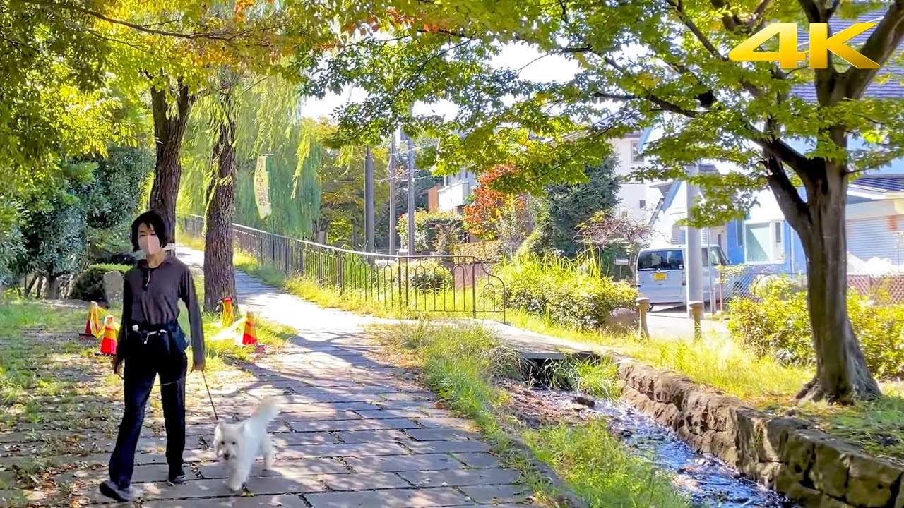 🇯🇵 Japan Countryside Village Walking Tour | 2022・4K