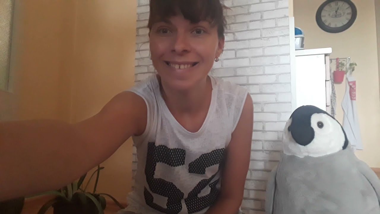 U doktora A2_čeština pro cizince