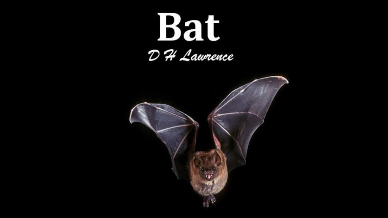 explanation of Bat poem by D.H.Lawrence #books #bookreview #englishliterature #dhlawrence