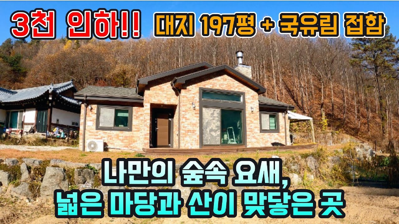 3천 인하!! 대지 197평 + 국유림 접/ 나만의 숲속 요새, 넓은 마당과 산이 맞닿은 곳 / 양평 전원주택 / 양평 전원주택 급매물 / 양평 전원주택 매매 / 양평 토지