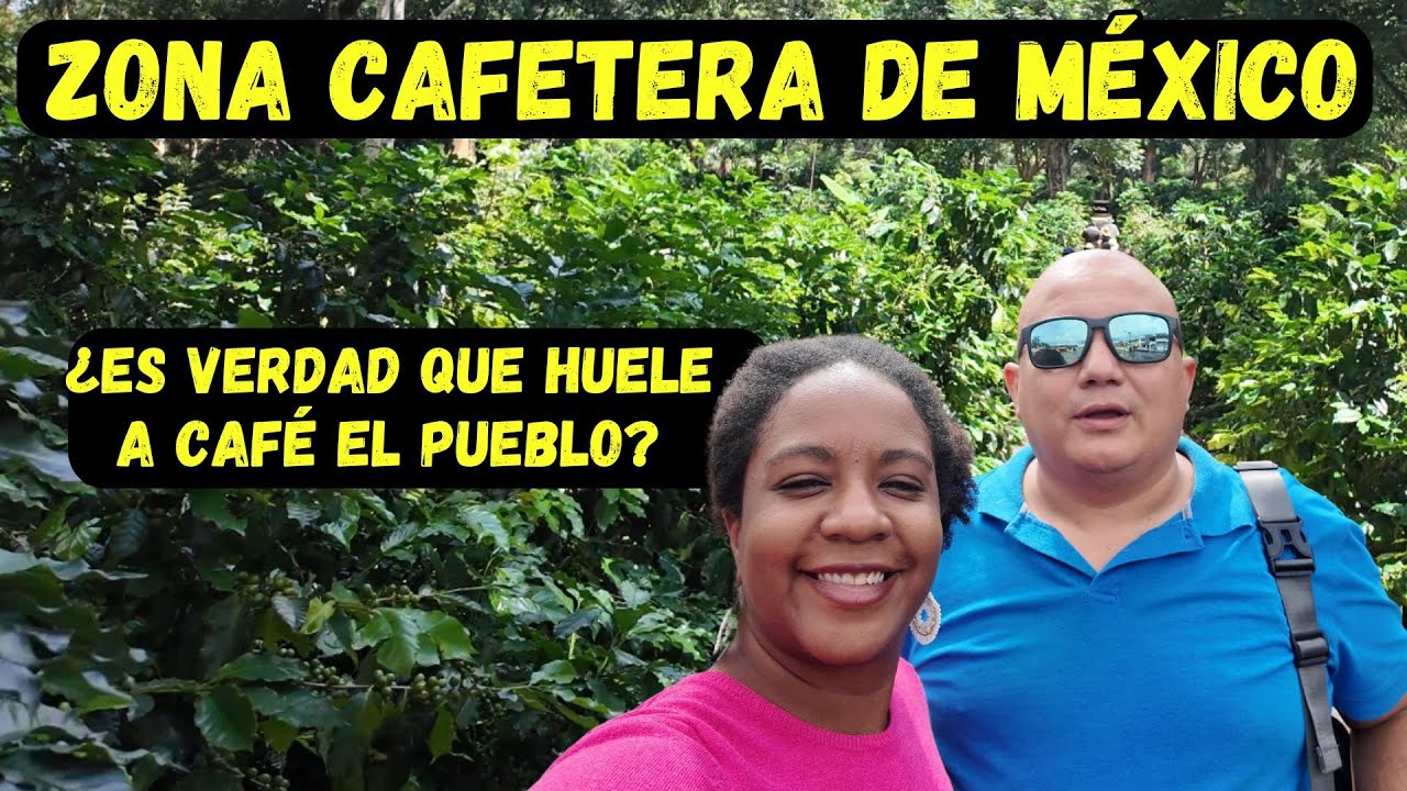 ❌❌ No vayas a la zona CAFETERA de Coatepec, Veracruz sin saber esto...☕☕☕