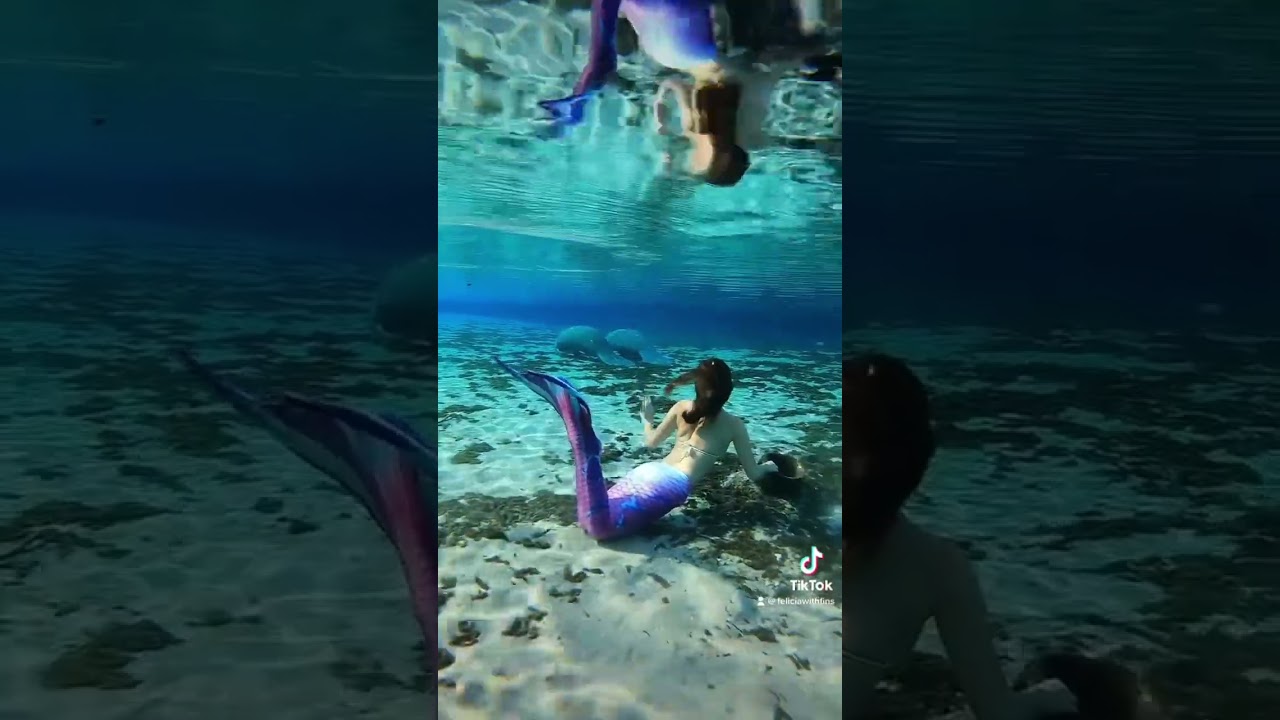 Waving Hello to Manatee friends! #mermaidlife #mermaid #underwatervideos New Vlog swimming with them