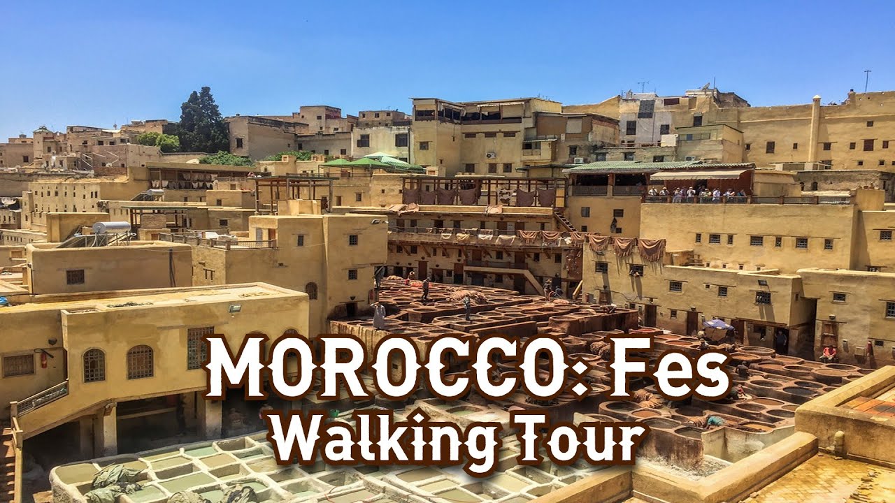 FEZ_ The famous leather tannery in Morocco