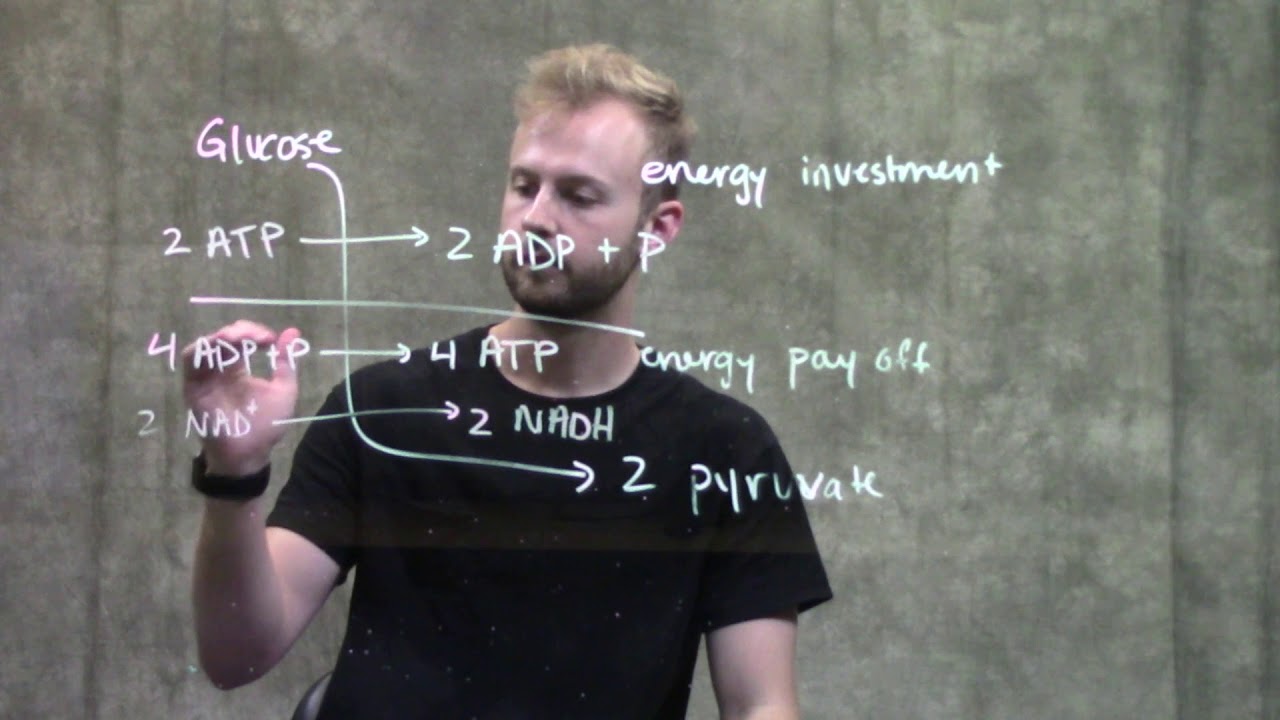 Glycolysis