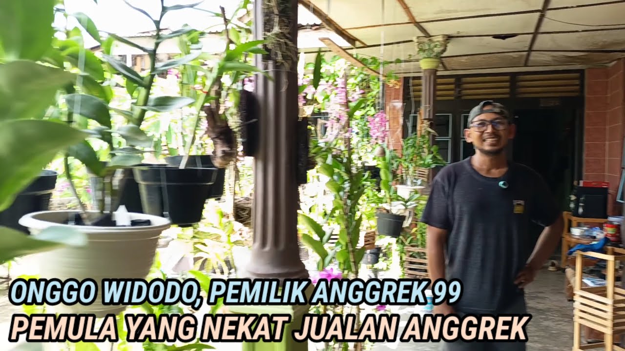 Nekat, 3 Bulan Kenal Anggrek, Langsung Berani Live Sale di Medsos..