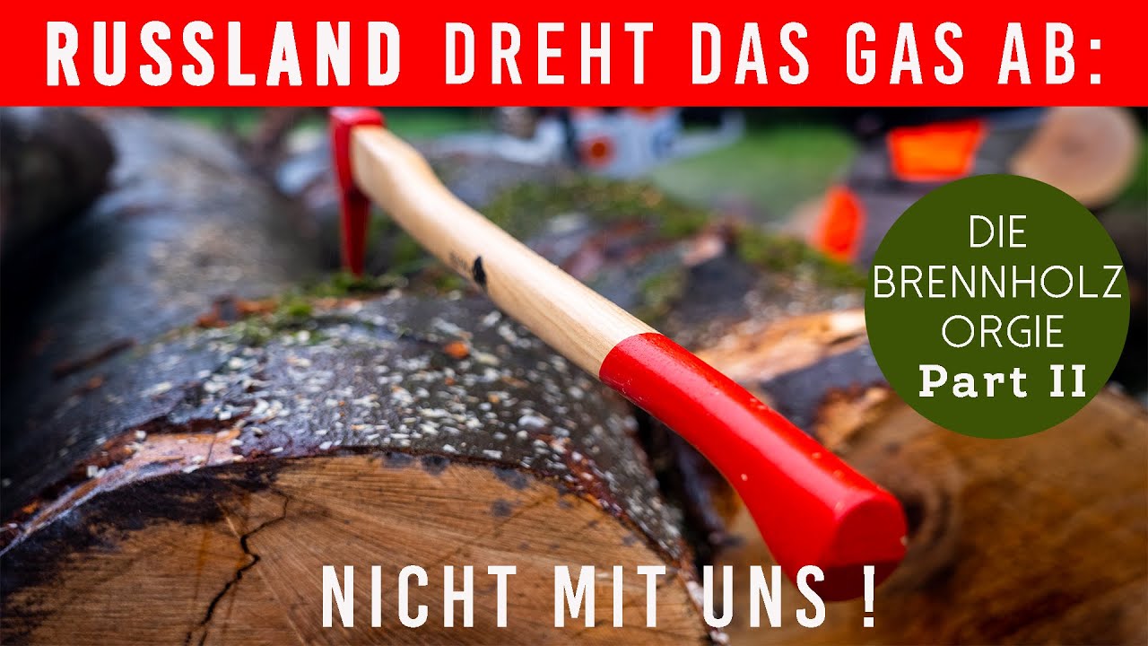 Wir sagen nein zur Energiekrise 🤬! Thor Holzspalter und Stihl Kettensäge: #brennholz #gas #putin