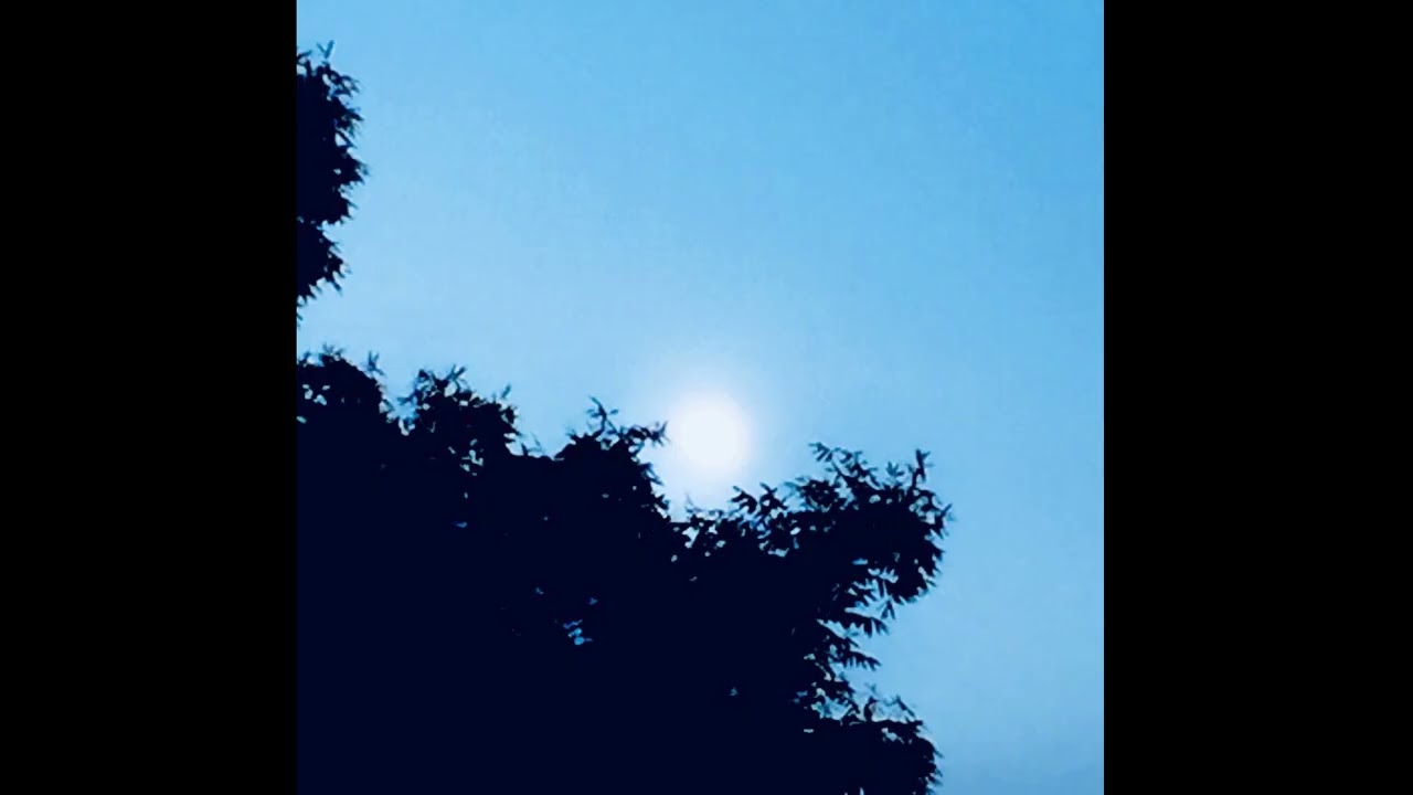 Sefton Lomax - Drift