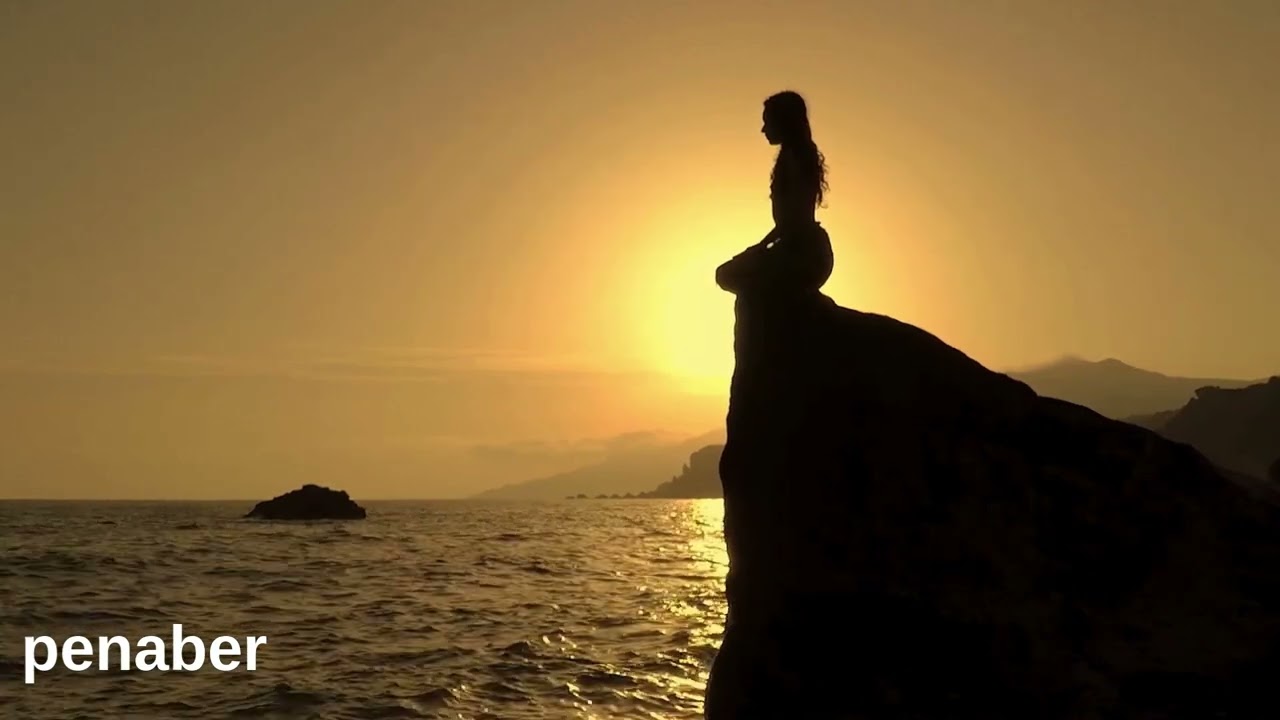 penaber  🎶 🎶trap cover