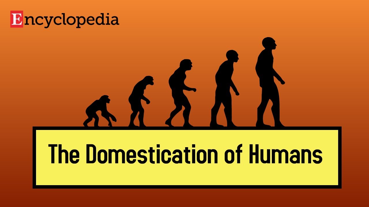 【Encyclopedia】The Domestication of Humans
