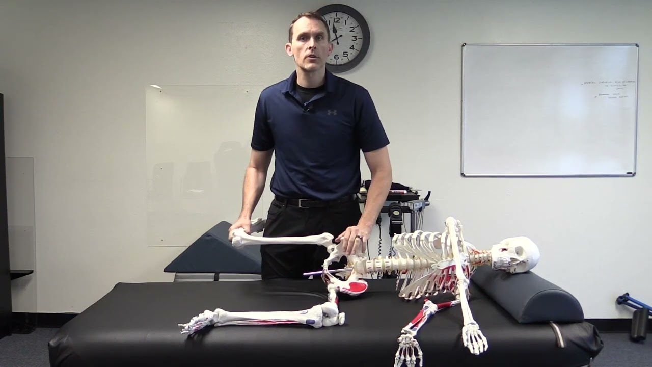 What Does The PRI Adduction Drop Test Measure? - Walkthrough
