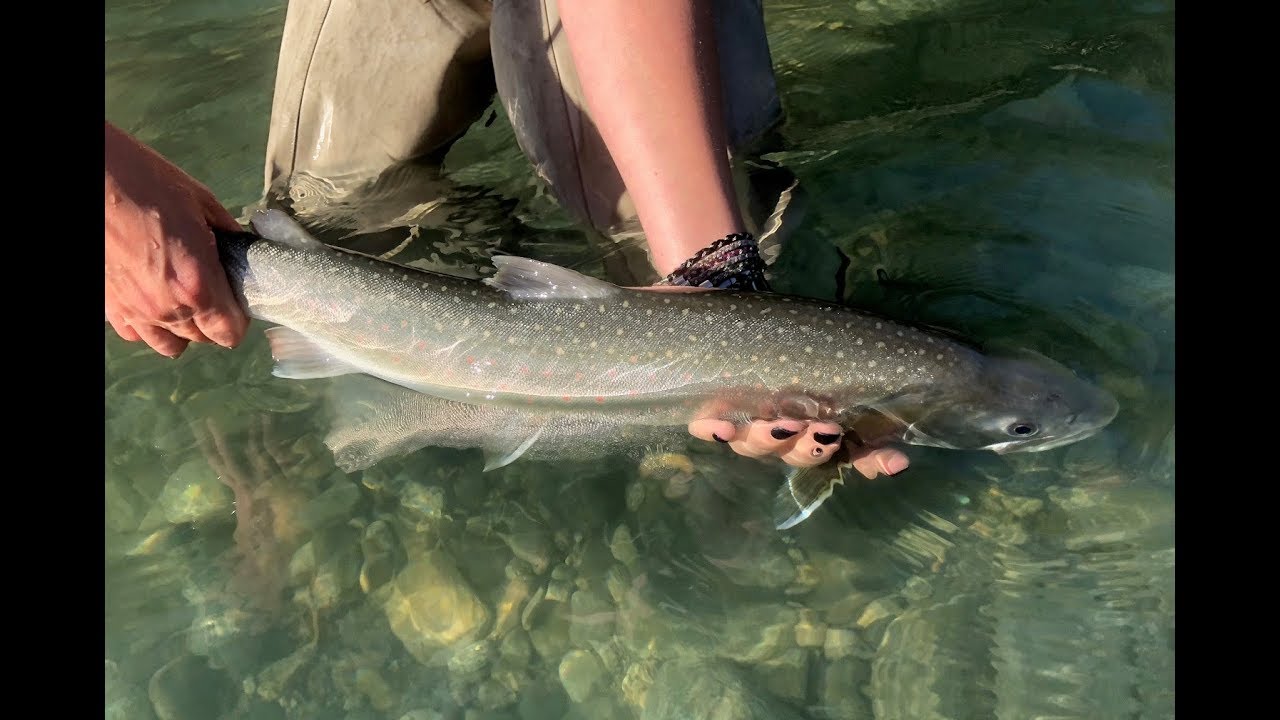 Fly Fishing on the Squamish and Mamquam River