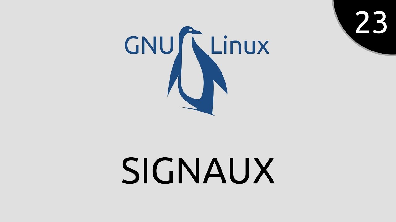GNU/Linux #23 - signaux