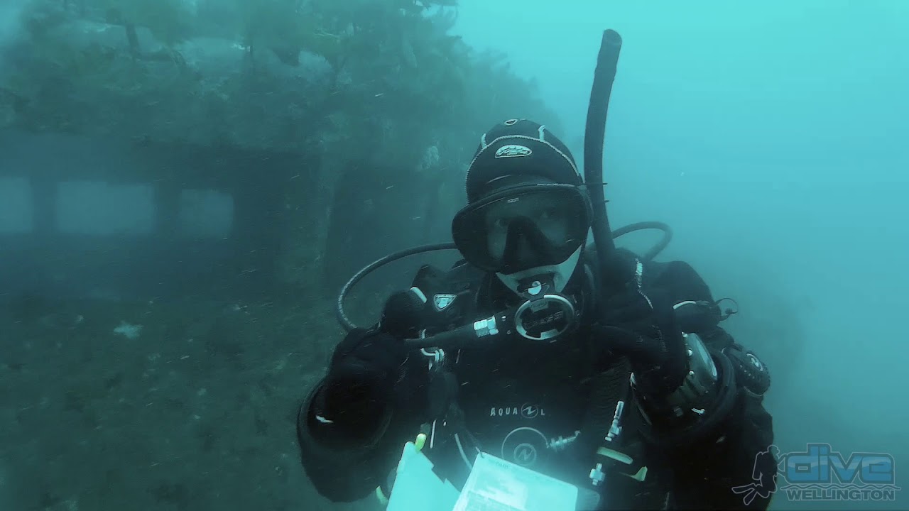 Scuba Diving the F69 Wreck in Wellington