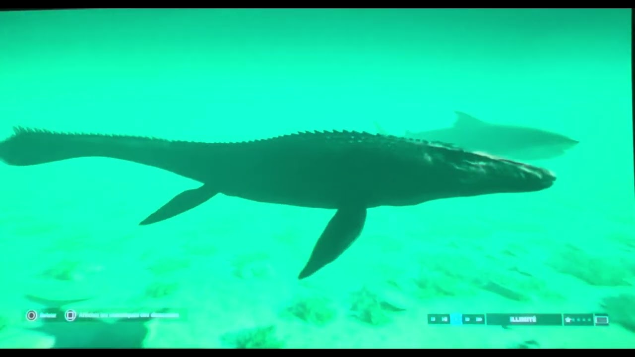 Jurassic World Evolution 2: Arêne de Dinosaures: Mosasaurus vs Megalodon