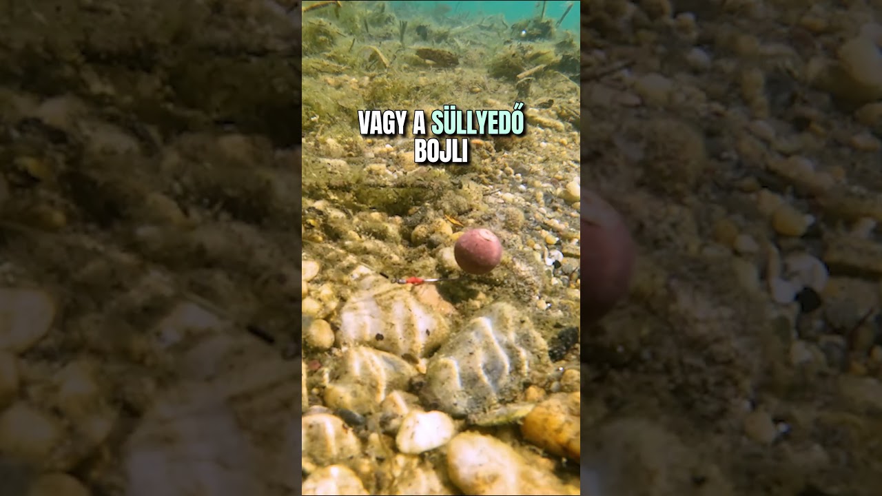 🥳 Iszap vagy kavics? 10 mp alatt el tudod d&ouml;nteni.