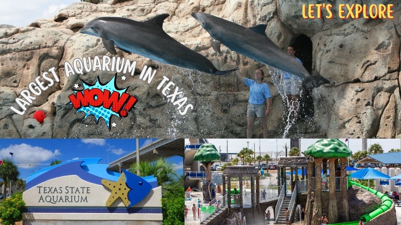 Let's explore the Largest Aquarium in Texas | Texas State Aquarium, Corpus Christi, Texas