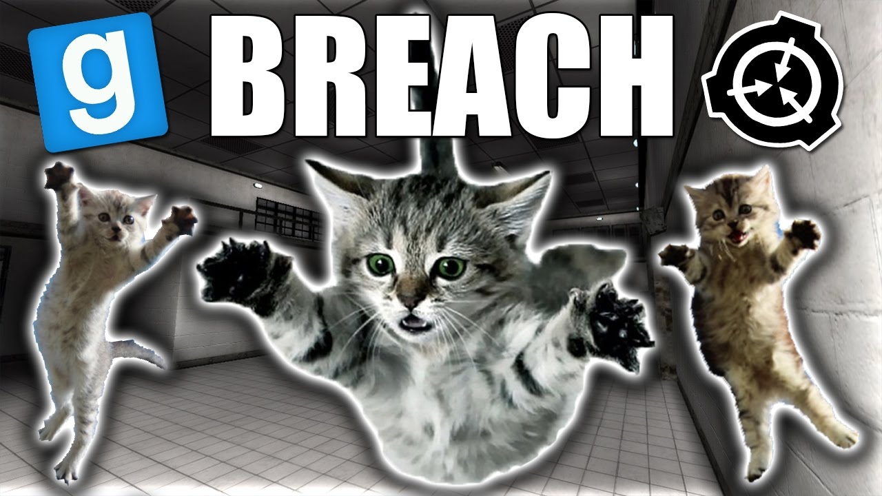RZUCAMY KOTEM XD | Garry's Mod: SCP Containment Breach [#37]