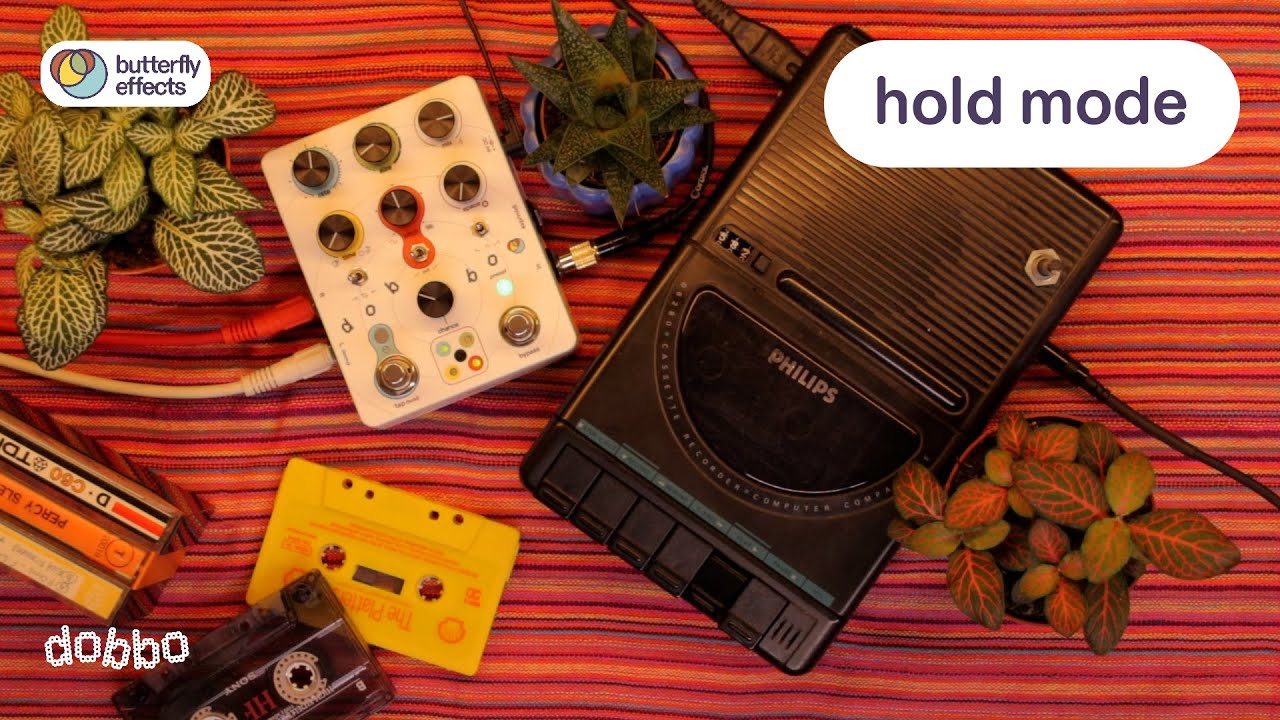 Dobbo Manual - Hold Mode