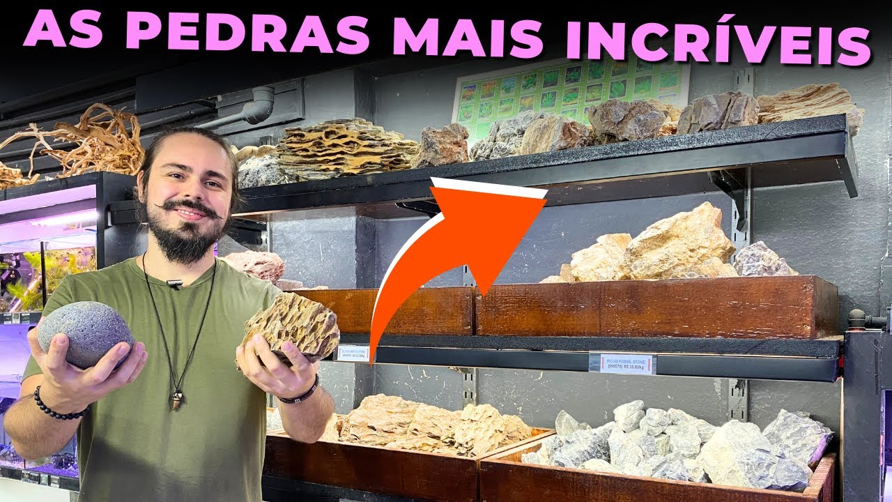 TOUR POR TODAS AS ROCHAS DE AQUÁRIO DA ECOTOP