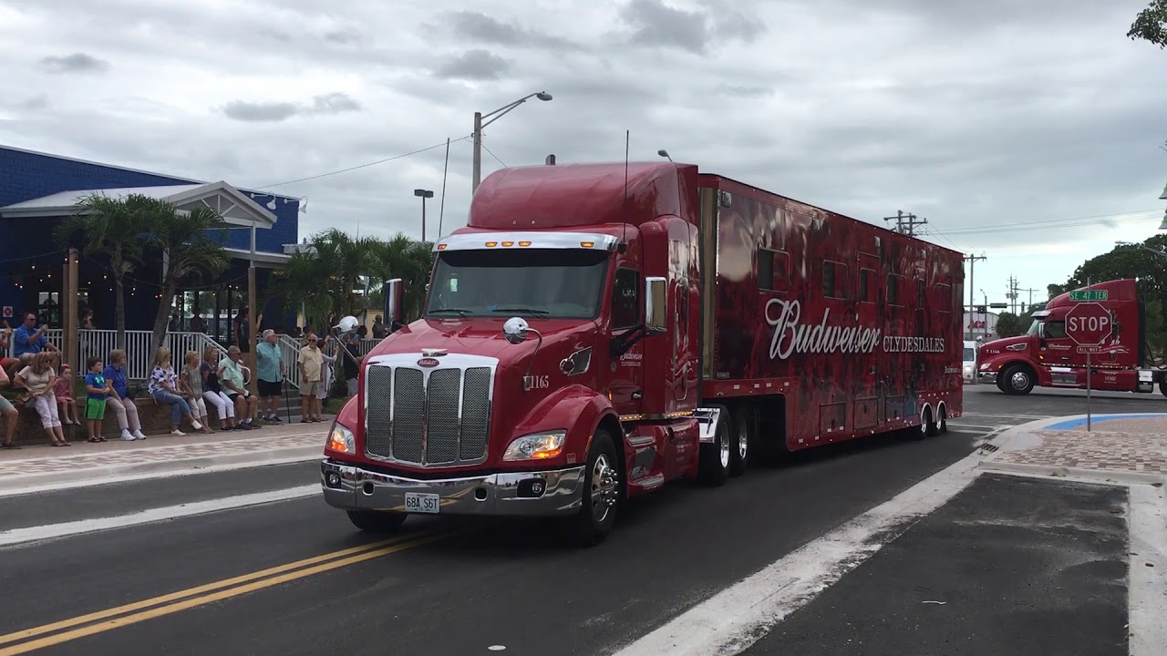 Budweiser Clydesdales arrive in Cape Coral (October 26, 2018)