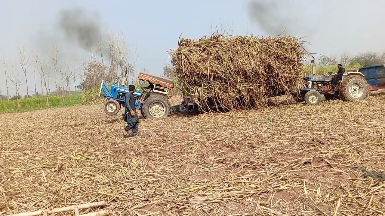 Ford tractar 4600 aur 4610 loode trali kamad ki nikalata hoy chak karo 