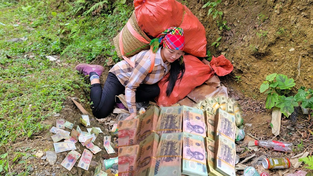 Large sum of money found in old house while collecting trash
