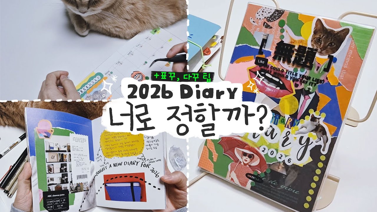 2026년 새 다이어리 자랑과 표꾸, 다꾸팁 살짝!