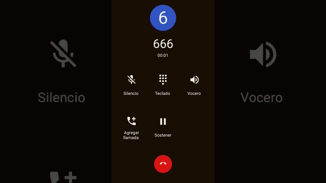 #666