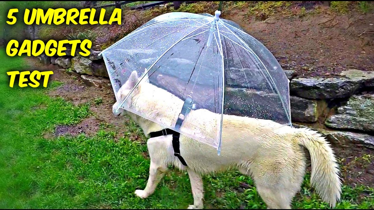 5 Umbrella Gadgets put to the Test