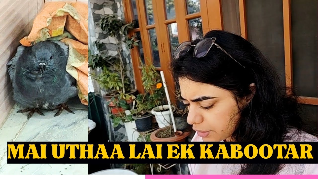 Ohmg!!! Ye mai kya utha layi!! | Family Vlog | Daily Vlog | @ArtfulWishesbyjaya 