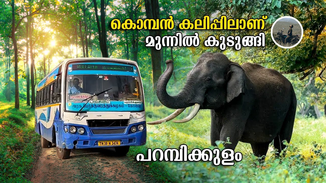 Parambikulam Tiger Reserve | കൊമ്പൻ കലിപ്പിലാണ് | Pollachi to Parambikulam | Bus trip | free20
