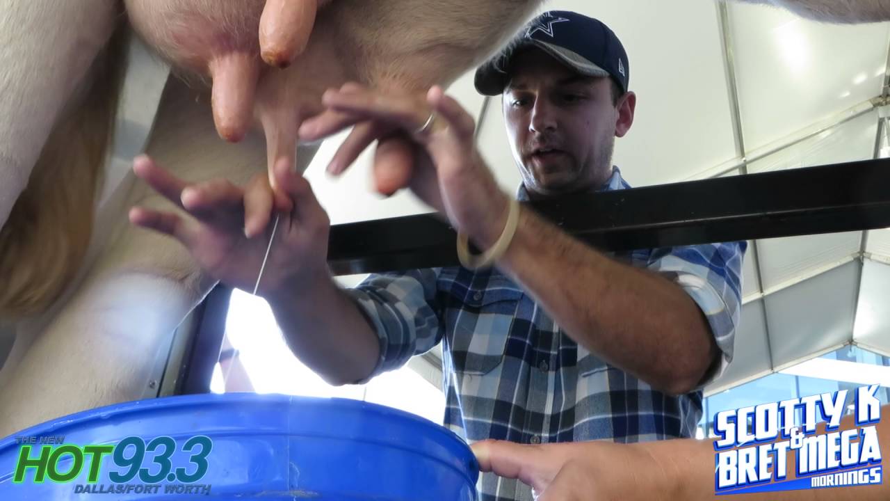 Scotty K & Bret Mega Cow Milking Competition